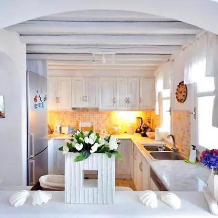 Vila Luxurious In Mykonos With Pool